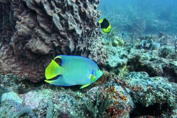 img 20250426 170933 102.jpg