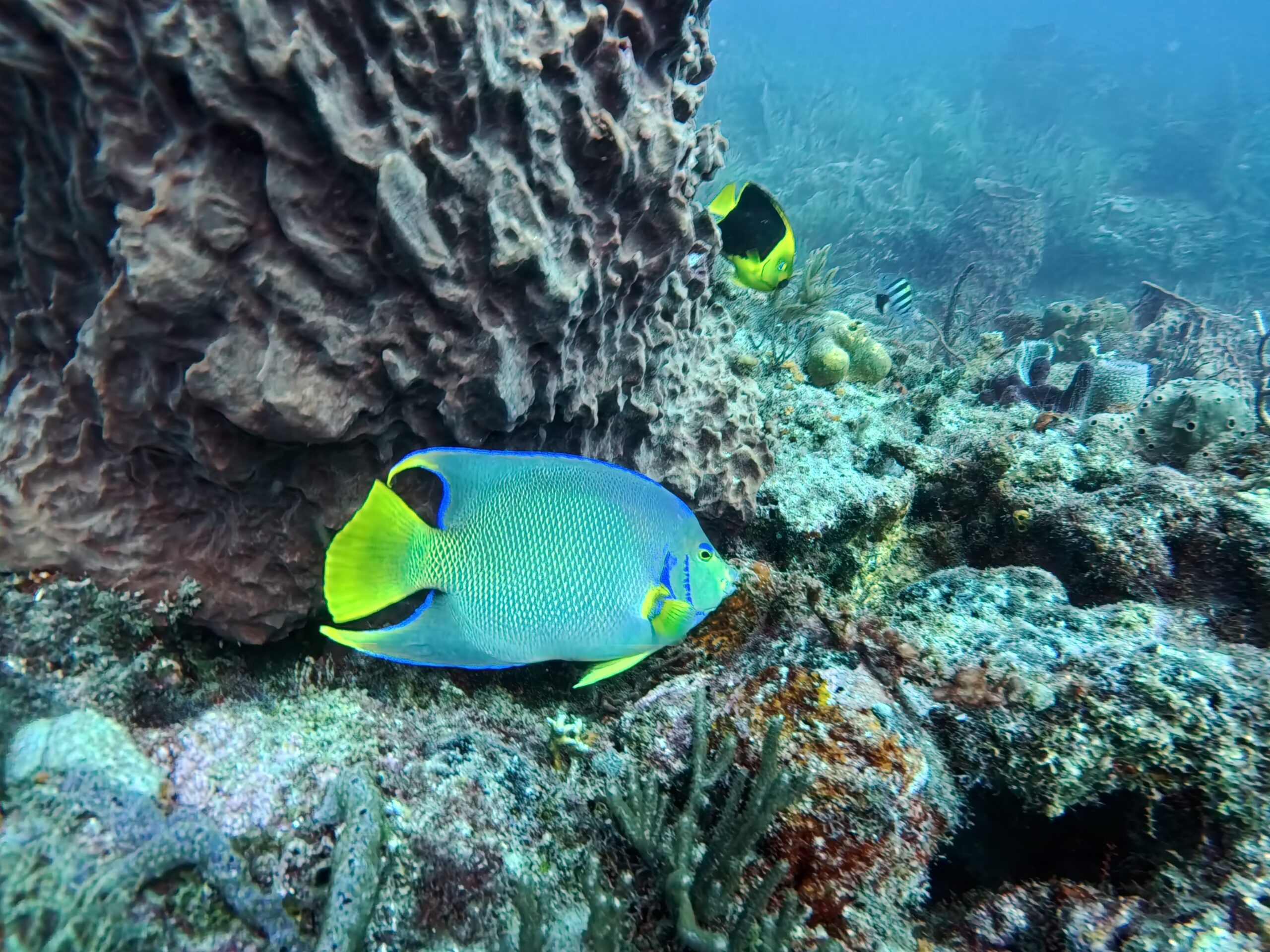 img 20250426 170933 102.jpg