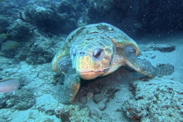 img 20250524 162837 192.jpg