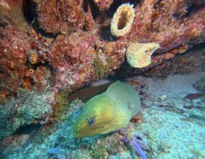 img 20250524 161935 172.jpg