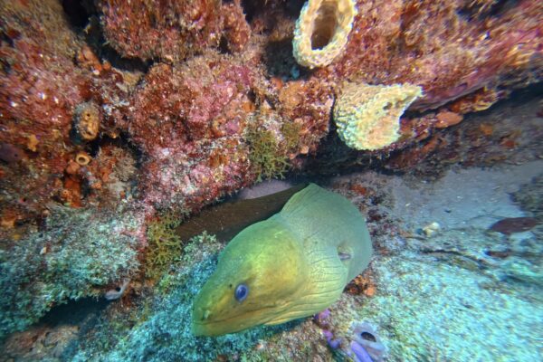 img 20250524 161935 172.jpg