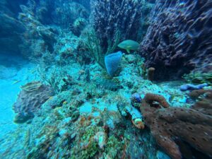 img 20250524 161452 165.jpg