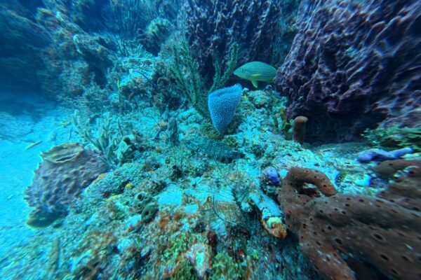 img 20250524 161452 165.jpg