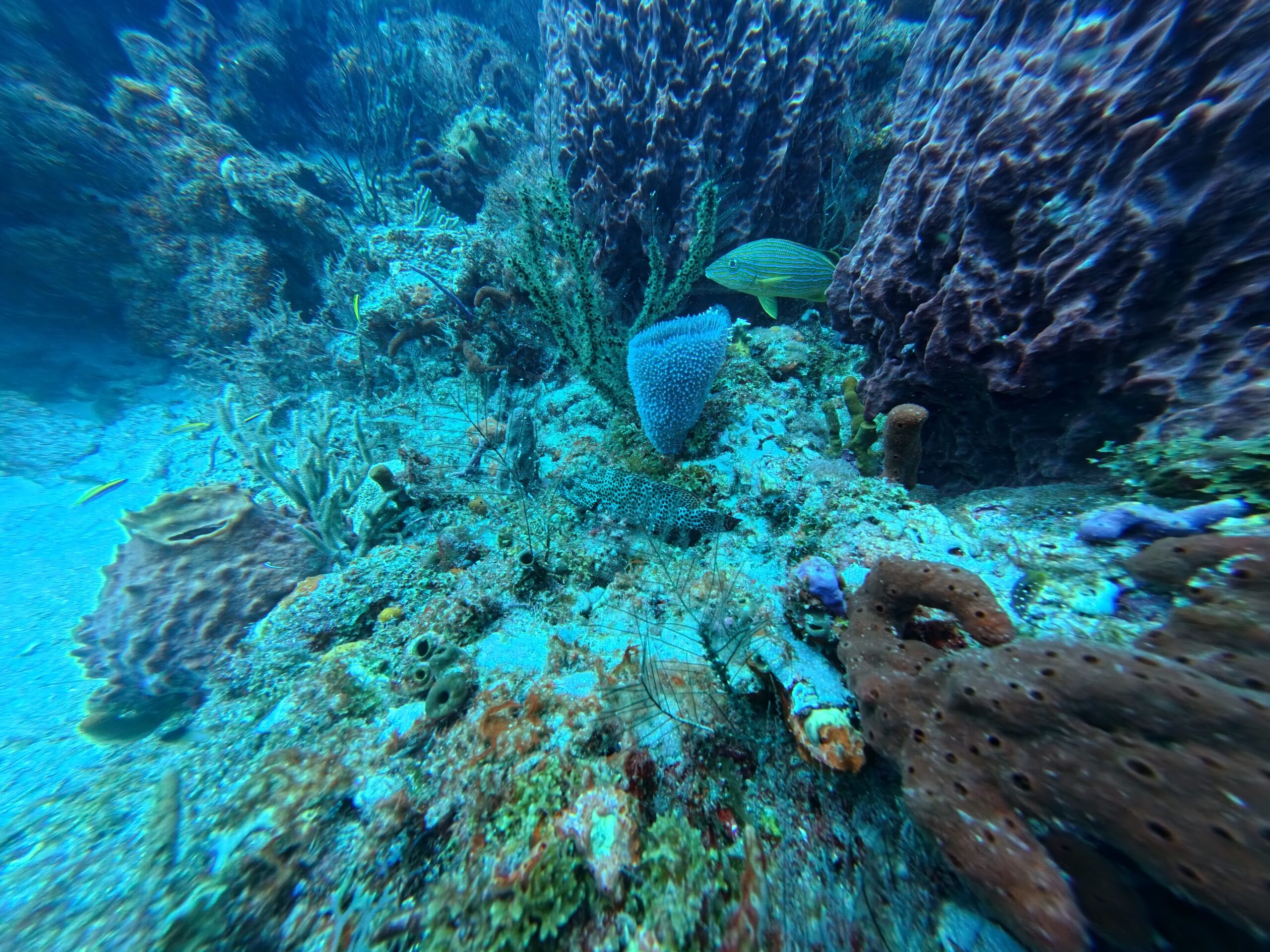 img 20250524 161452 165.jpg