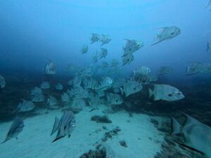 img 20250531 112117 238.jpg