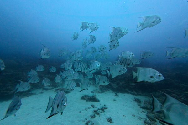 img 20250531 112117 238.jpg