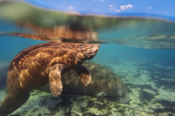 snapshot 202512357 191236