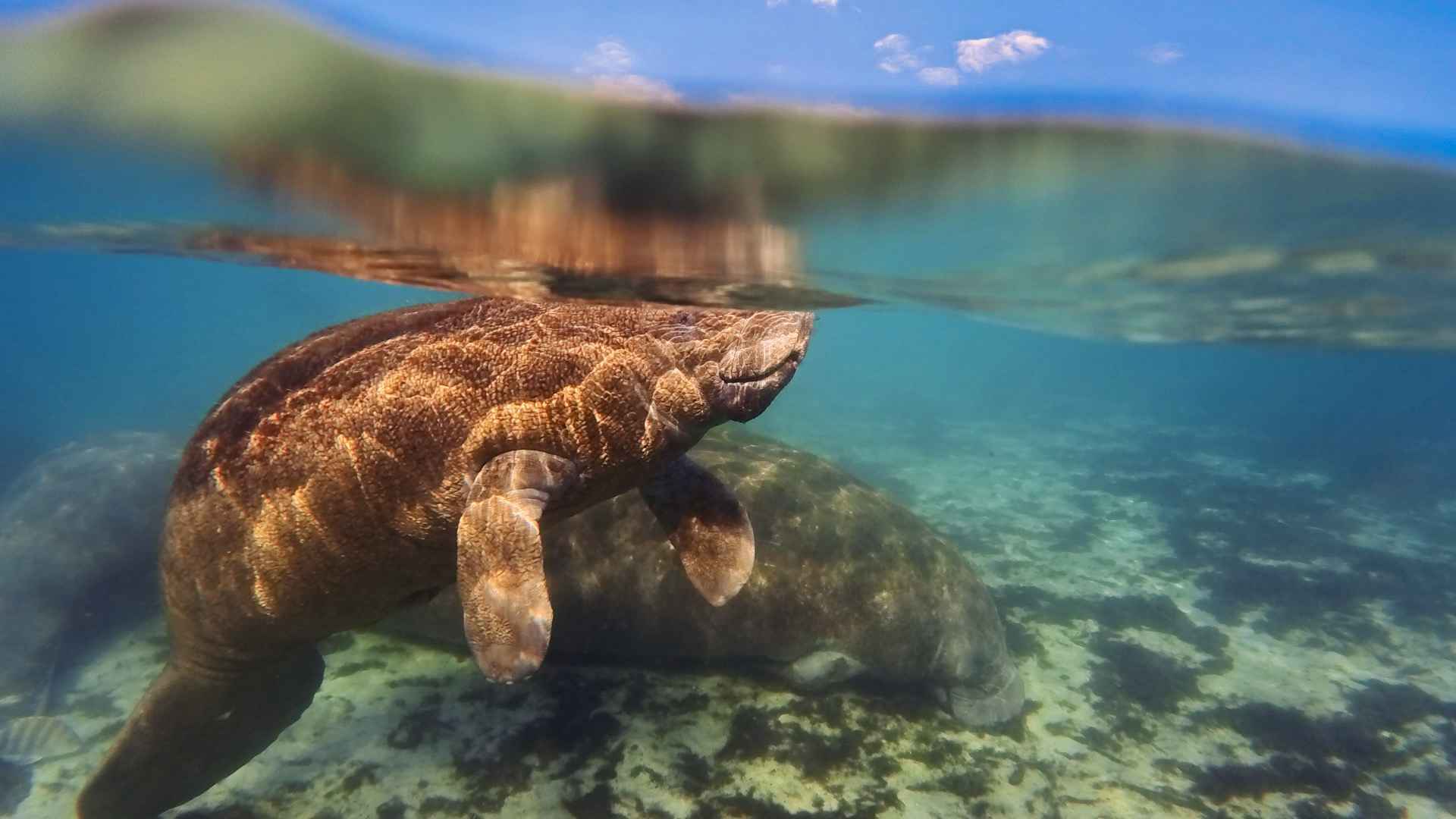 snapshot 202512357 191236